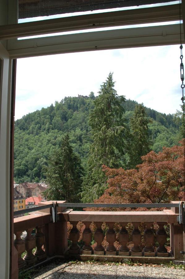 Villa Junghans Schramberg Exterior foto